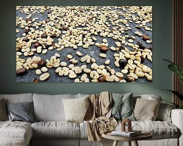 Grains de café séchés au soleil sur neonartroom