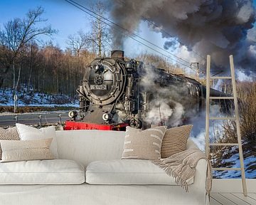 De Rübelandspoorweg op volle stoom