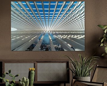 Lines under the roof by Werner Lerooy