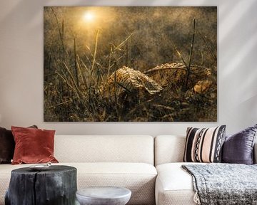 Abstract flower photo