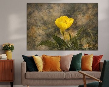 Abstract flower photo 2