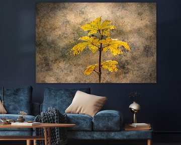 Abstract flower photo 3