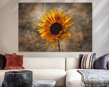 Abstract flower photo 8