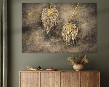 Abstract flower photo 9