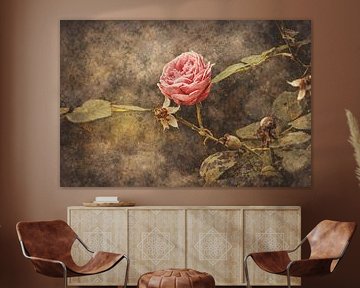 Abstract flower photo 10