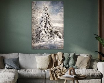 Snow photo with abstract background 1