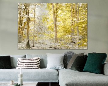 La forêt comme un conte de fées.