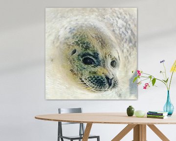 Süßer Seehundkopf unter Wasser