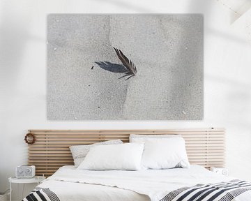A feather on the beach by Matthias Brix