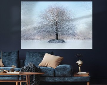 Witte wereld rond 'Eenzame eik'  in Amerongen