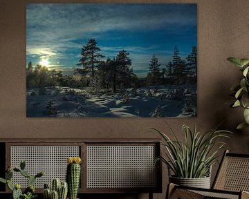 Winters Zweden van By Foto Joukje