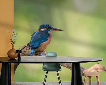 The Lookout by Robert van Brug
