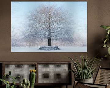 Besneeuwde Eenzame Eik in Amerongen