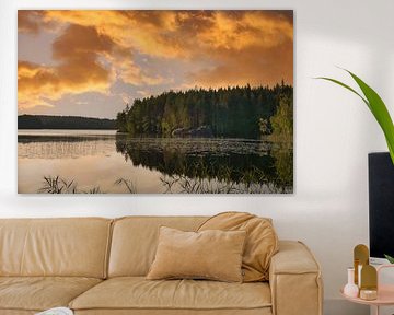 Gouden zonsondergang boven een rustig bosmeer in Scandinavië.