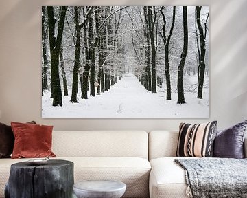Chemin à travers un paysage hivernal enneigé dans une forêt sur Sjoerd van der Wal Photographie