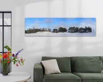 Snow winter landscape in a snowy forest during winter in nature by Sjoerd van der Wal Photography