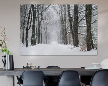 Chemin à travers un paysage hivernal enneigé dans une forêt sur Sjoerd van der Wal Photographie
