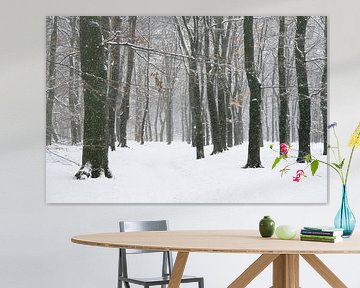 Path through a snow winter landscape in a forest by Sjoerd van der Wal Photography