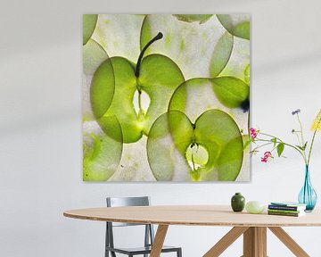 Where light reads flesh