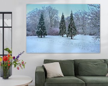 Winter Symmetry in the Court of Rivers by Kristof Leffelaer