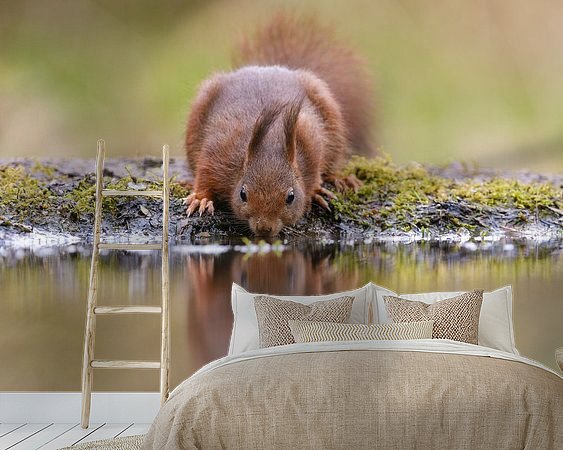 Voorbeeld van het werk in een kamer