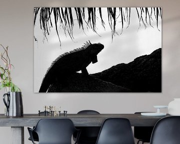 Iguanas by Elles Rijsdijk