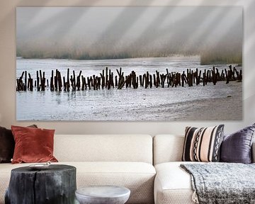 En hiver au bord de la rivière