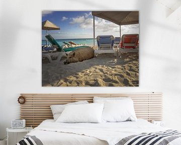 Schweinerei am Strand von Curacao von Bfec.nl