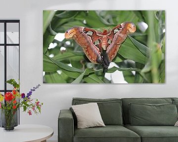 Atlas spinner by Matthias Brix