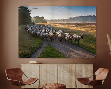 Schafherde mit Hirte.