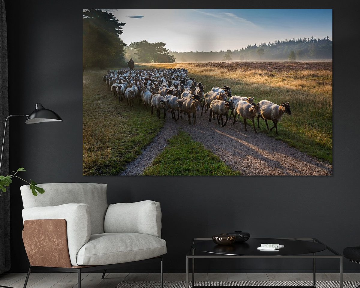 Voorbeeld van het werk in een kamer