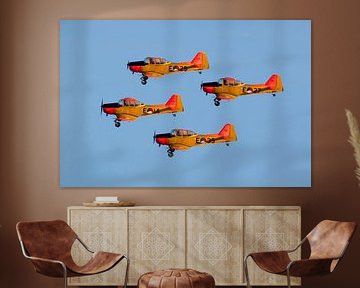 Fokker S-11 Lehrflugzeug. Fokker Four Airshow-Team