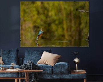 Kingfisher in flight. by Menno Schaefer