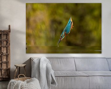 Kingfisher in flight. by Menno Schaefer