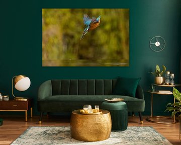 Kingfisher in flight. by Menno Schaefer