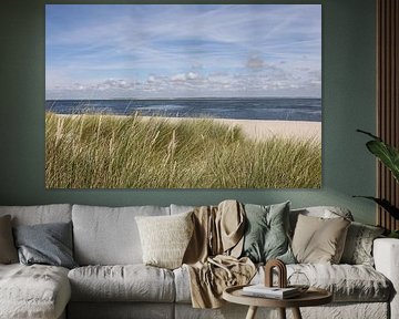 Wild dune grass and the North Sea with vastness