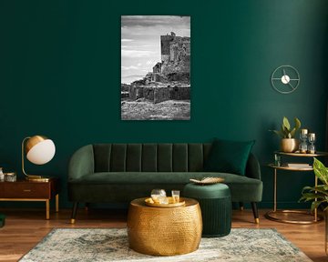 Chateau de Murol France in Monchrome by Imladris Images