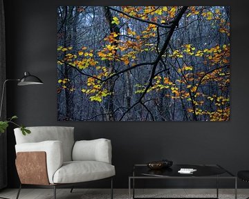 Autumn colours in the Hoge Veluwe forest by Martin Hendriks