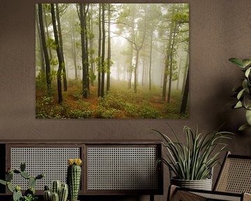 Fog in the volcanic landscape by Willemijn Wolthaus