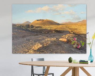 Path to the El Cuervo volcano on Lanzarote by Michael Valjak