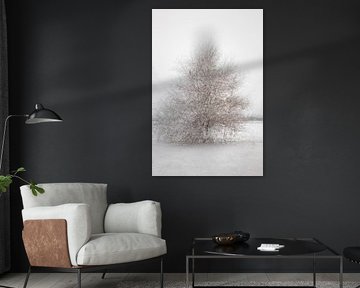 Solitaire Tree 1 by Léonie's Art Gallery