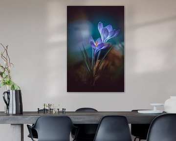 blau-violette Krokusblüte von Margriet Hulsker