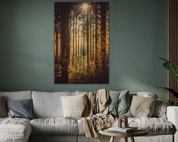 Das Sonnenlicht zwischen den Bäumen sehen von Margriet Hulsker