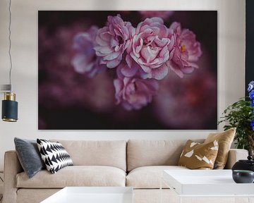 pink small roses by Margriet Hulsker