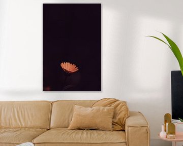 Ich bin's! von Margriet Hulsker