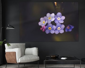 lila Knopfblume von Margriet Hulsker