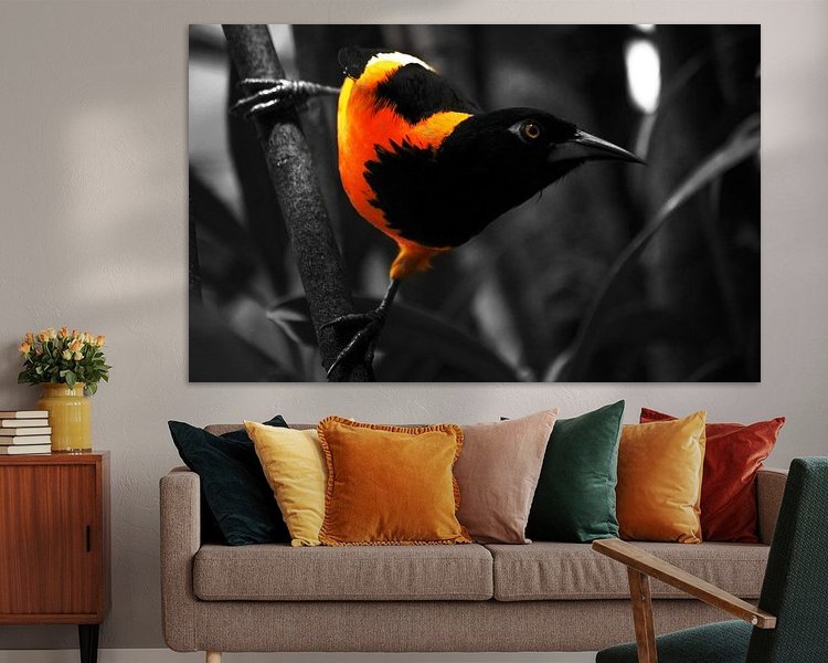 Aperçu de la chambre