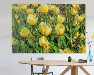 Champ de fleurs avec tulipes et jonquilles jaunes