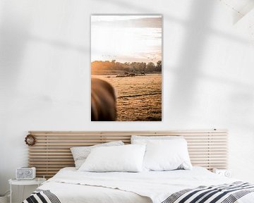 Horses in Golden Light Rest in the Meadow by Femke Ketelaar