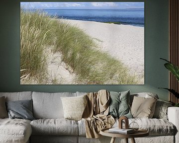 Beach barley in the elbow on Sylt near List